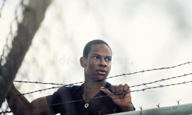 DON’T BREAK THE FENCE!