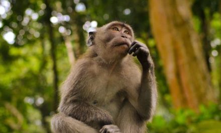 WHEN YOU DON’T KNOW WHAT TO DO…