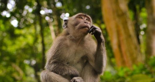 WHEN YOU DON’T KNOW WHAT TO DO…