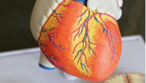 YOUR HEART MUST NOT BE SICK
