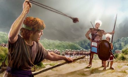 THE SLING, THE STONE AND THE SWORD.