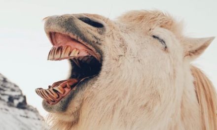 DEALING WITH ‘CRUEL MOCKERY.’