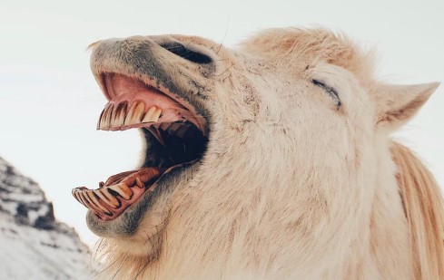 DEALING WITH ‘CRUEL MOCKERY.’